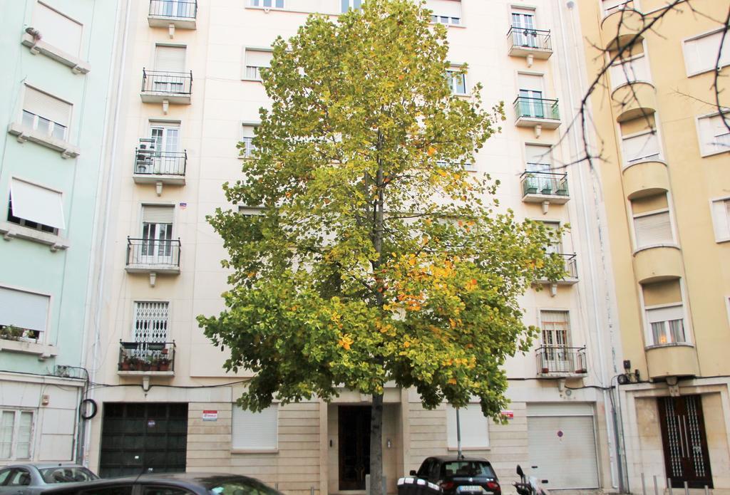 Casa Da Praceta Appartement Lissabon Buitenkant foto